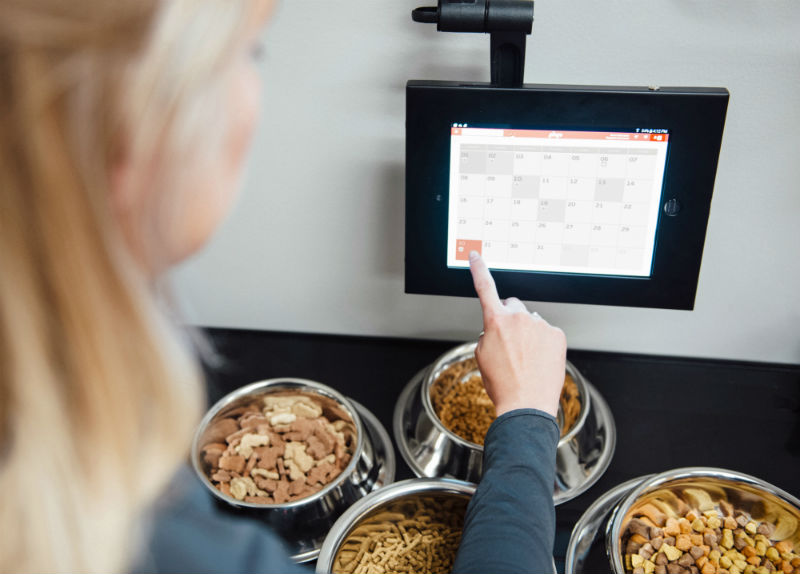 Dogtopia of South Elgin staff member managing the dogs feeding schedule on the screen.
