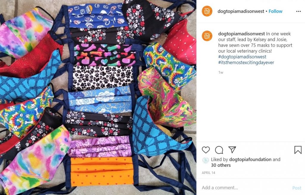 Dogtopia of Madison West