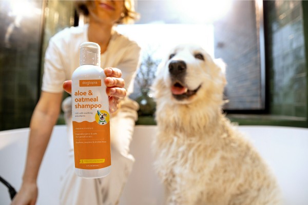 A woman holding a bottle of Dogtopia's Aloe & Oatmeal Shampoo next to a white dog in a bathtub