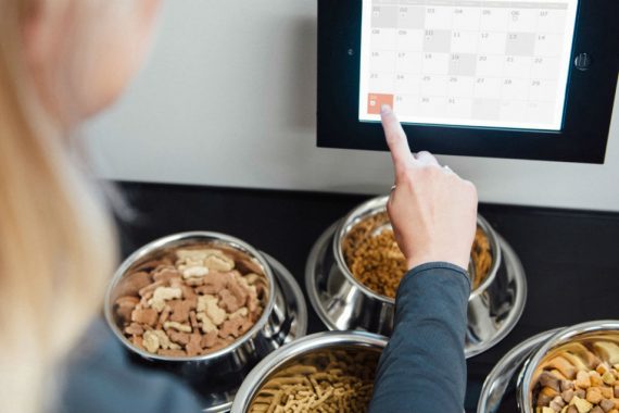 Dogtopia Food Services