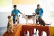Dogtopia Canine Coaches with dogs in playroom