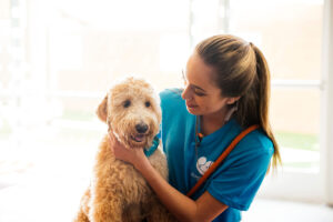 A female Dogtopia employee holding a brown doodle