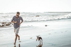 Dog running on beach shore with man