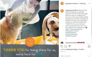 Dogtopia Mount Kisco offers free dog daycare to New York first responders and healthcare workers.