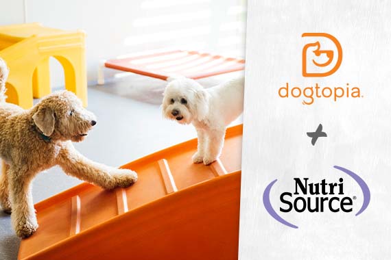 Dogtopia and Nutri Source