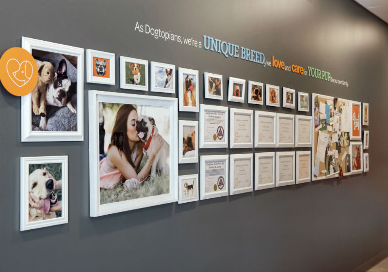 Certificates and dog pictures hanging on the wall at Dogtopia of South Elgin.