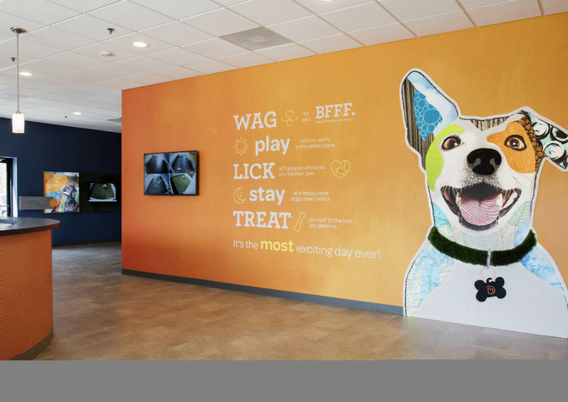 Welcome wall with the logo at Dogtopia of South Elgin.
