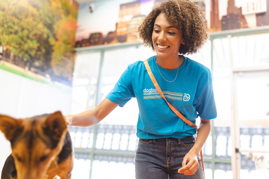 Dogtopia Canine Coach petting dog