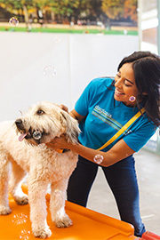 Dogtopia Canine Coach petting dog