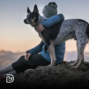 Women sitting and hugging a dog on top of a hill