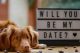 Dog lying on floor with "will you be my date?" sign beside them