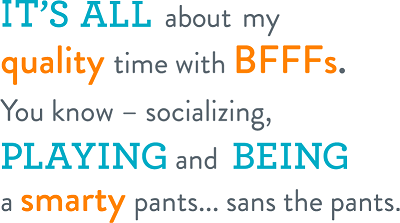 Socializing and Playing