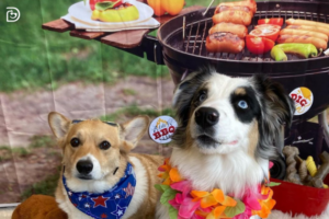 Two dogs sitting in front of a barbecue-themed background