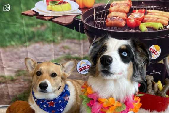Two dogs sitting in front of a barbecue-themed background