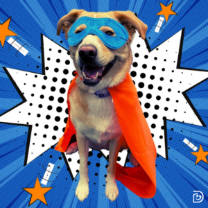 Dog wearing a superhero cape and eye mask as a Halloween costume in front of a superhero-themed backdrop