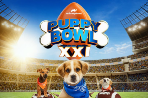 a graphic of dogs in front of a football and the words Puppy Bowl XXI